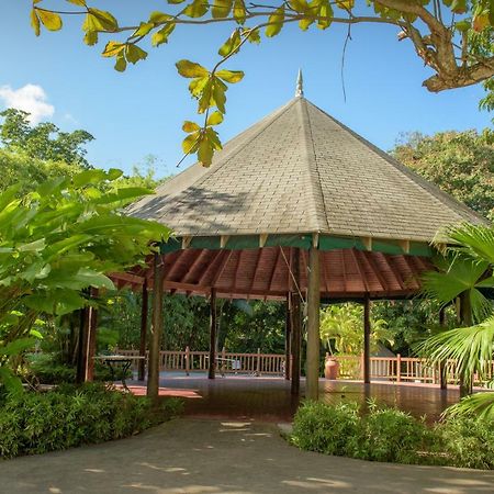 Tropical Escape Villa Ocho Ríos Exterior foto